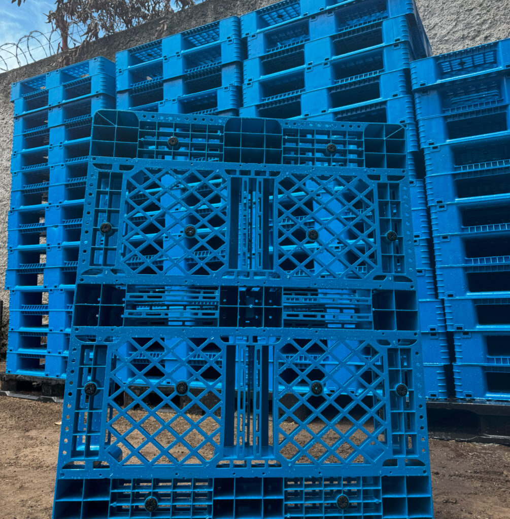 Sin título-2_Mesa de trabajo 1